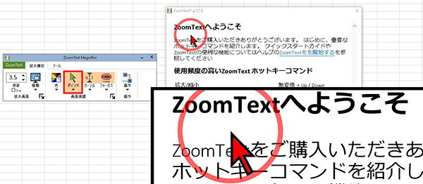 ZoomText画面の画像